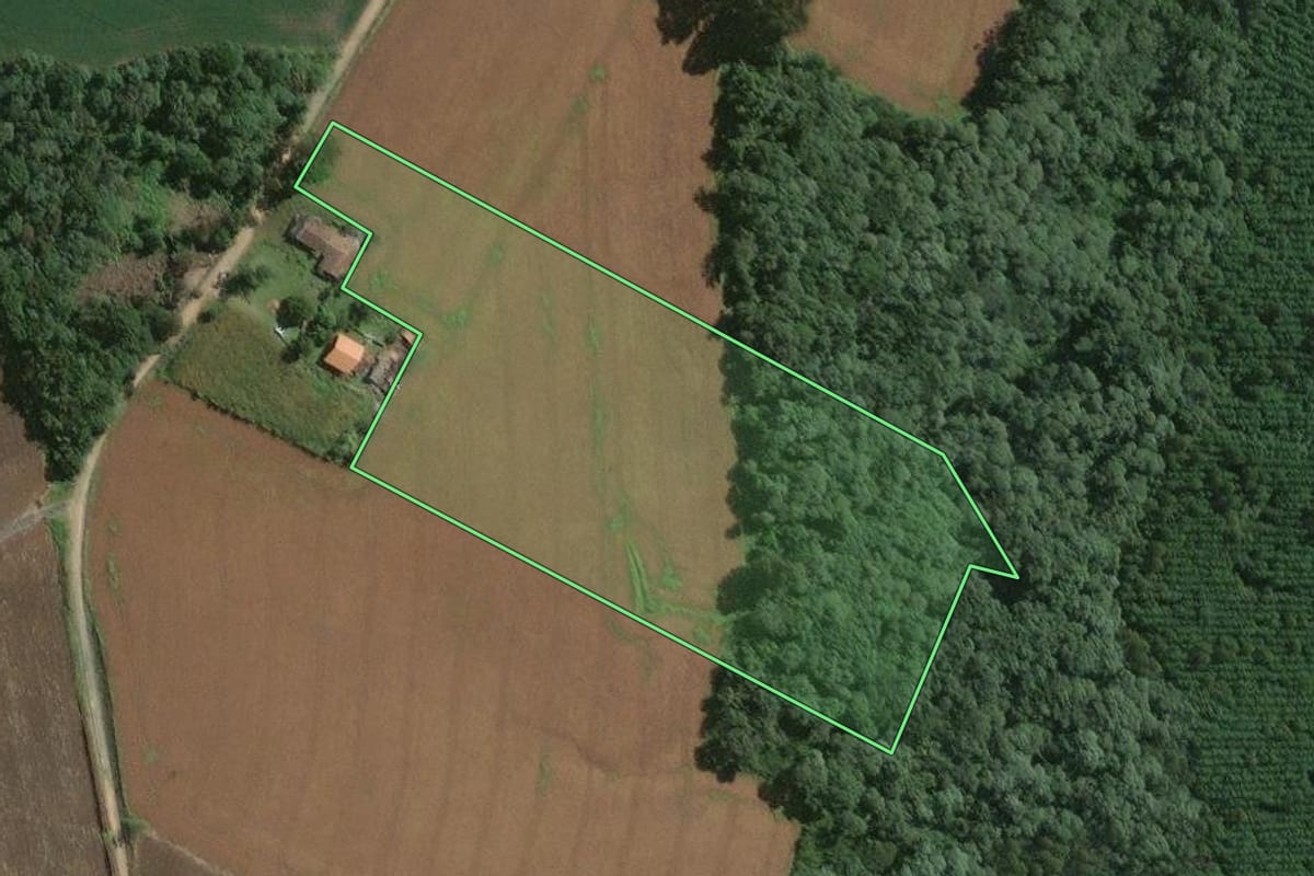 Imagem de satélite do imóvel rural em Mafra (SC), com o contorno declarado no CAR desenhado por cima.