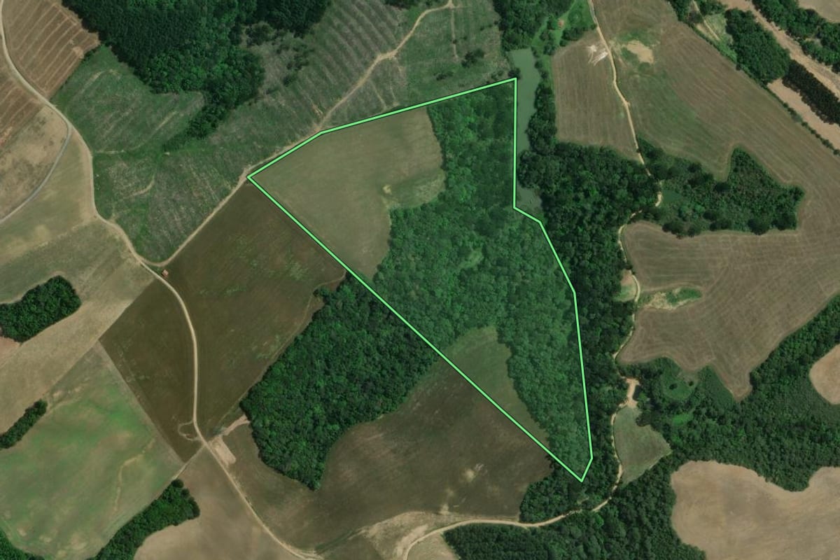 Imagem de satélite do imóvel rural em Mafra (SC), com o contorno declarado no CAR desenhado por cima.