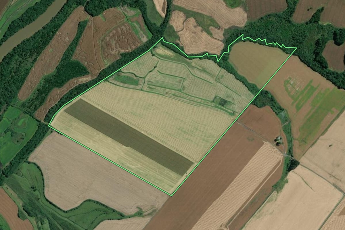 Imagem de satélite do imóvel rural em Mafra (SC), com o contorno declarado no CAR desenhado por cima.