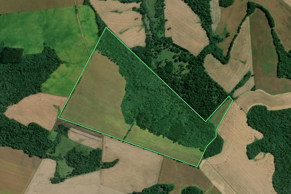 Imagem de satélite do imóvel rural em Mafra (SC), com o contorno declarado no CAR desenhado por cima.