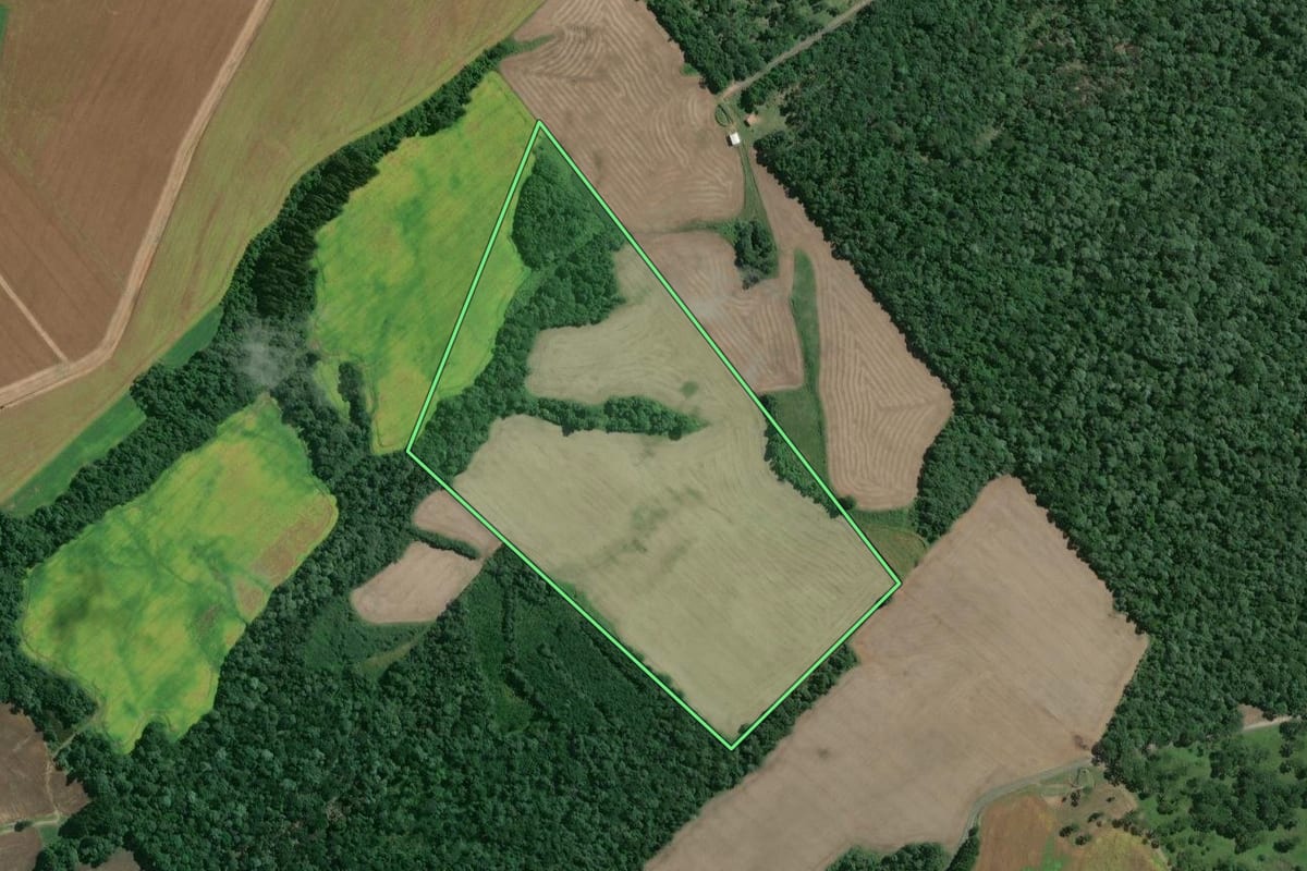 Imagem de satélite do imóvel rural em Mafra (SC), com o contorno declarado no CAR desenhado por cima.
