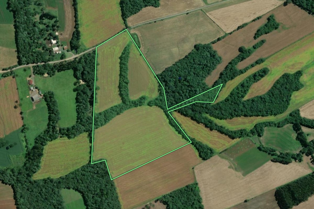 Imagem de satélite do imóvel rural em Mafra (SC), com o contorno declarado no CAR desenhado por cima.