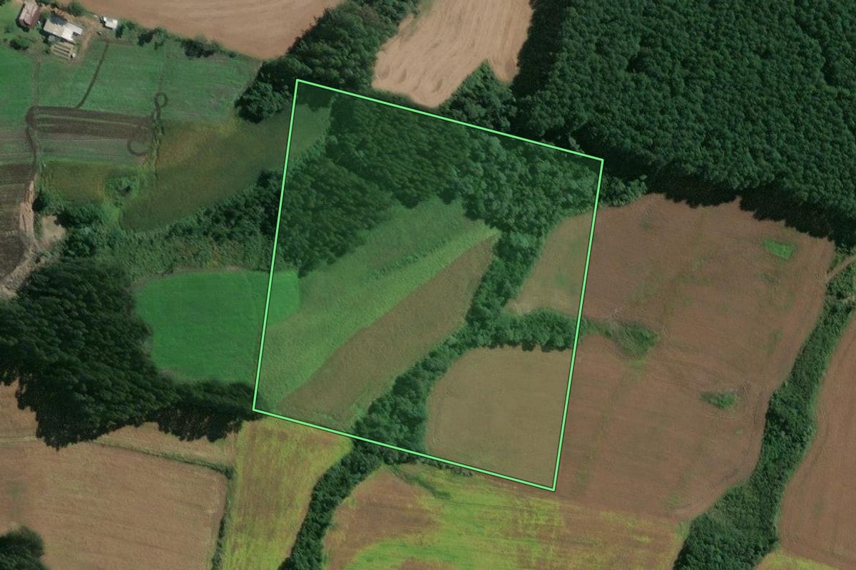 Imagem de satélite do imóvel rural em Mafra (SC), com o contorno declarado no CAR desenhado por cima.