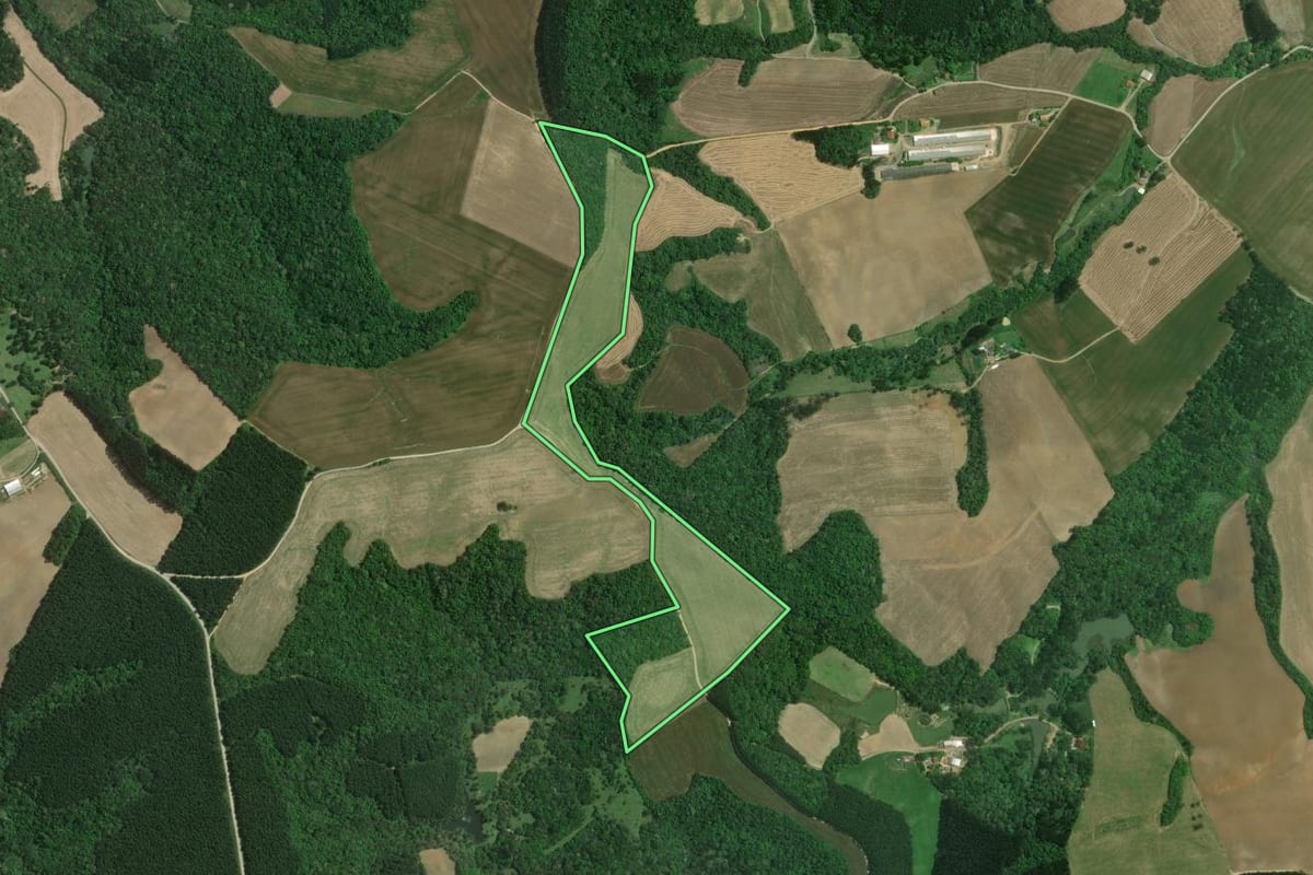 Imagem de satélite do imóvel rural em Mafra (SC), com o contorno declarado no CAR desenhado por cima.