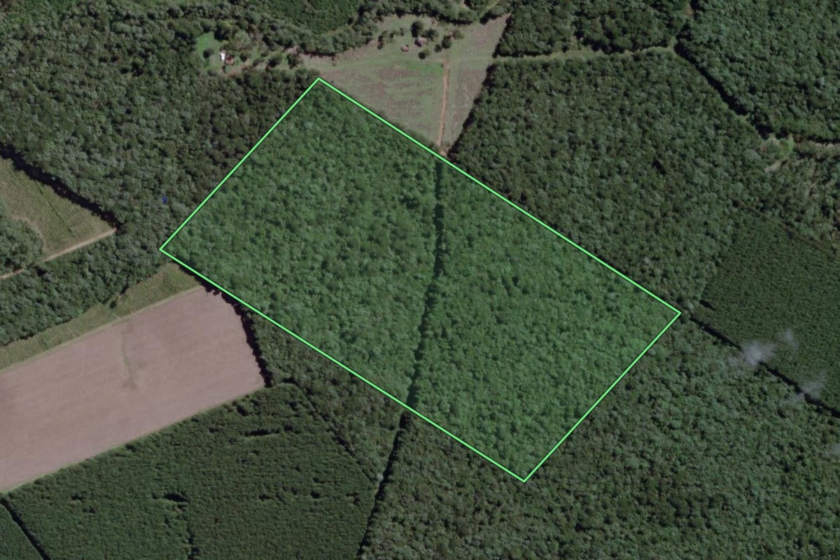 Imagem de satélite do imóvel rural em Mafra (SC), com o contorno declarado no CAR desenhado por cima.