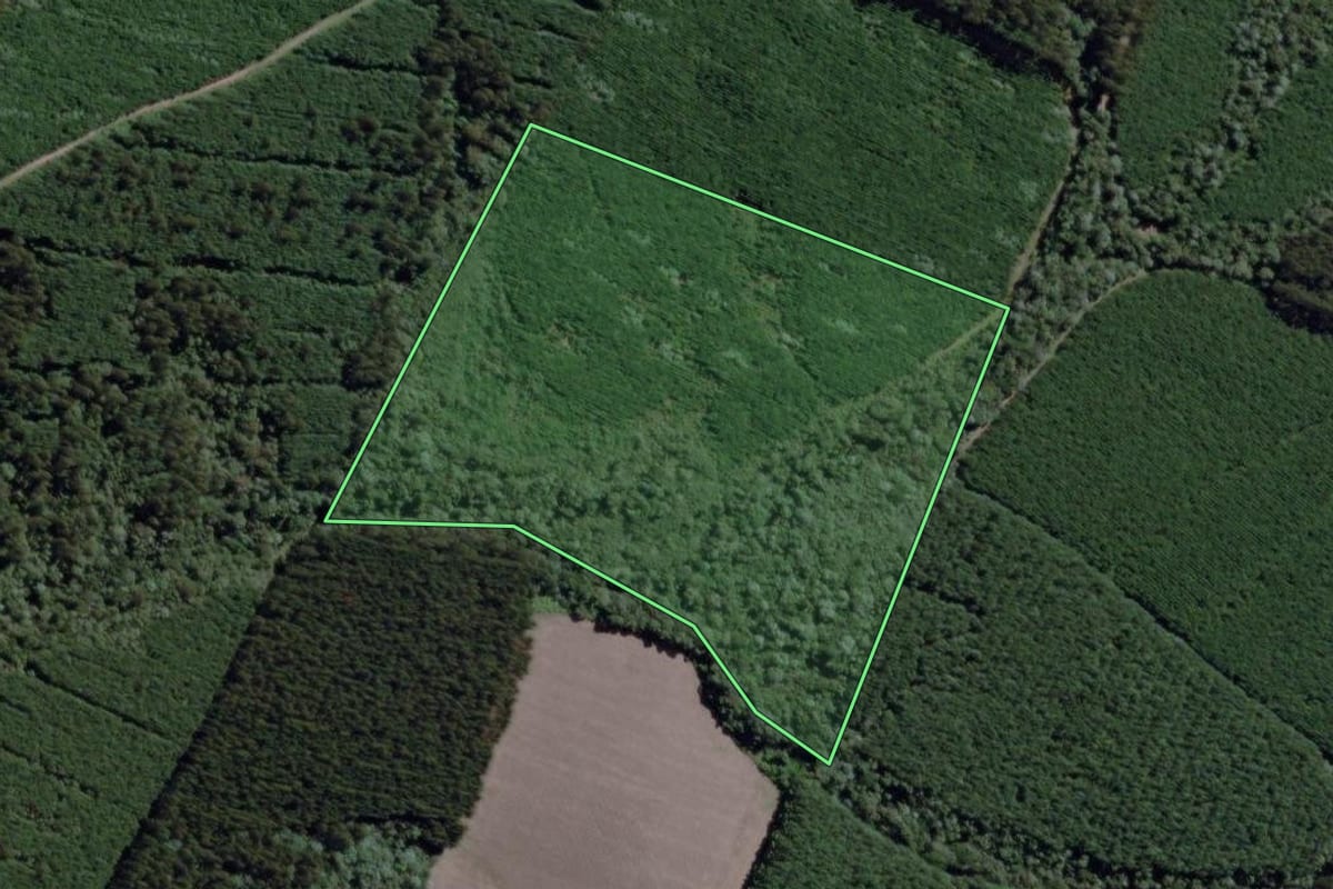 Imagem de satélite do imóvel rural em Mafra (SC), com o contorno declarado no CAR desenhado por cima.