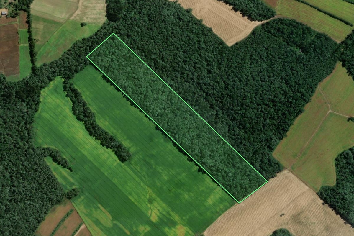 Imagem de satélite do imóvel rural em Mafra (SC), com o contorno declarado no CAR desenhado por cima.
