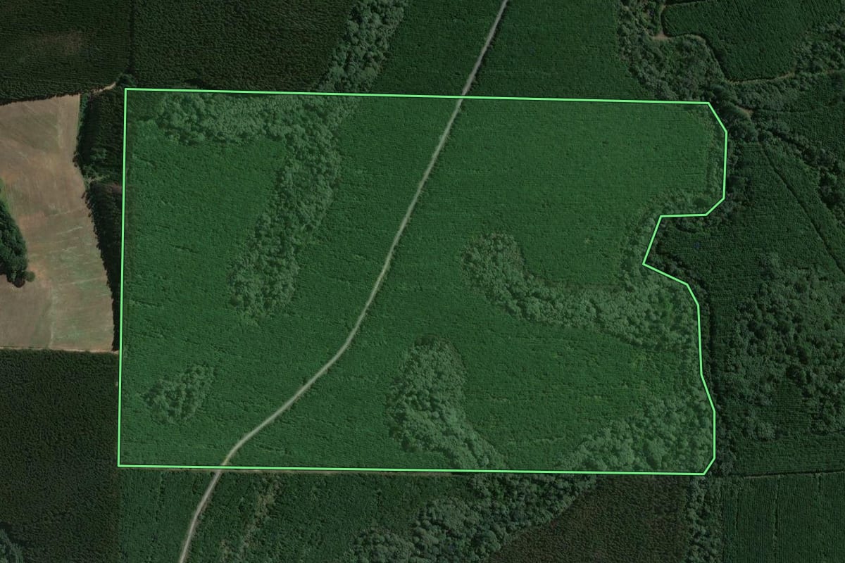 Imagem de satélite do imóvel rural em Mafra (SC), com o contorno declarado no CAR desenhado por cima.