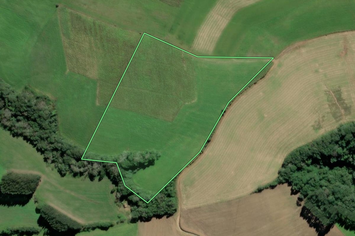 Imagem de satélite do imóvel rural em Mafra (SC), com o contorno declarado no CAR desenhado por cima.
