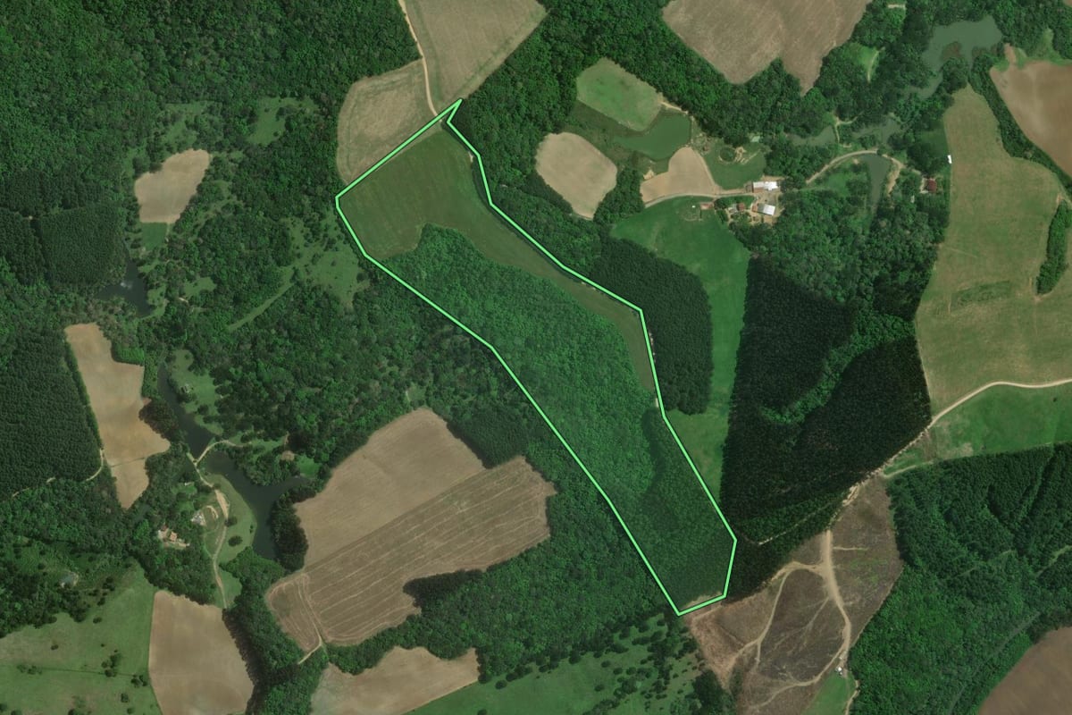 Imagem de satélite do imóvel rural em Mafra (SC), com o contorno declarado no CAR desenhado por cima.