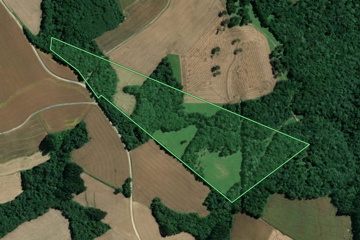 Imagem de satélite do imóvel rural em Mafra (SC), com o contorno declarado no CAR desenhado por cima.