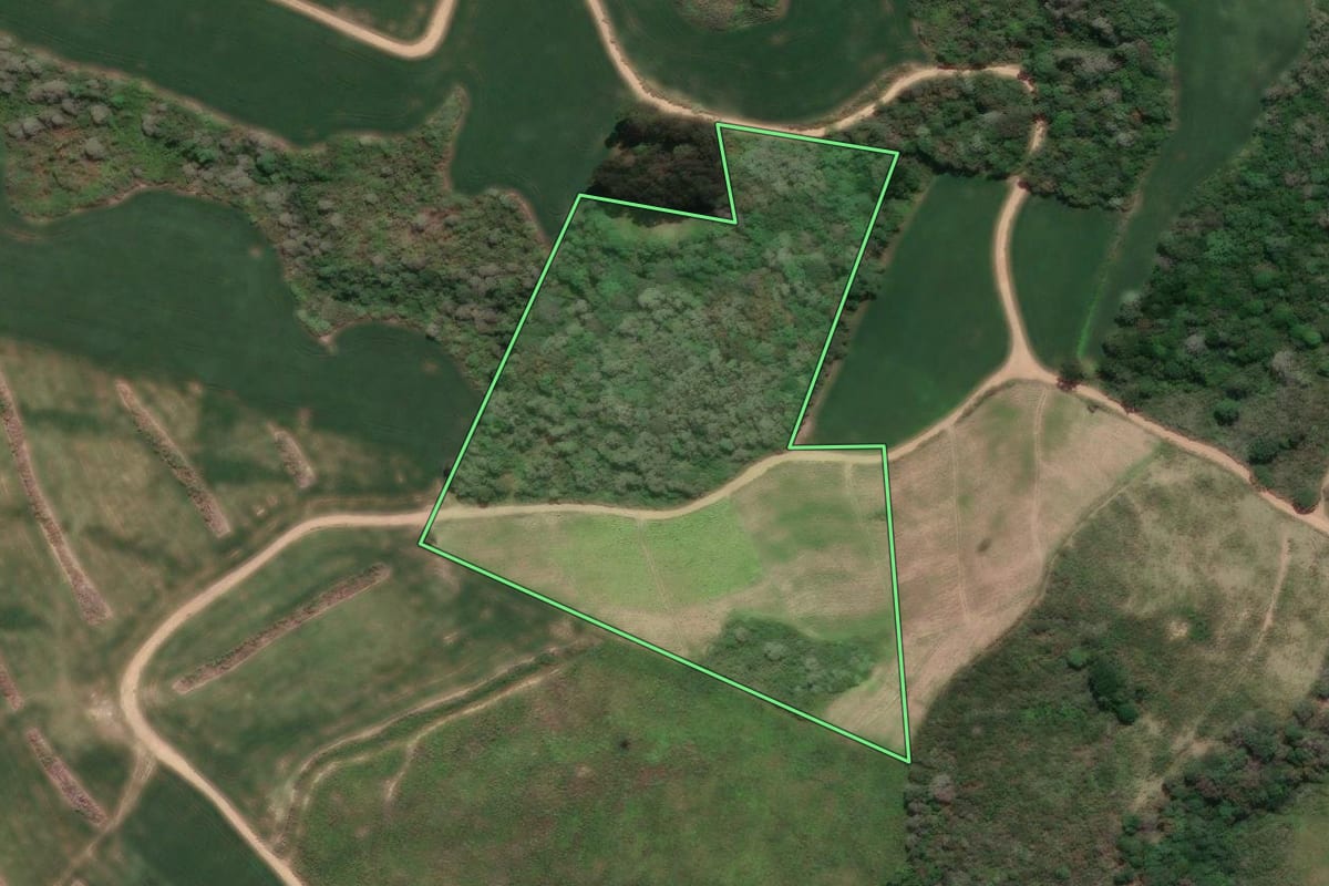Imagem de satélite do imóvel rural em Mafra (SC), com o contorno declarado no CAR desenhado por cima.