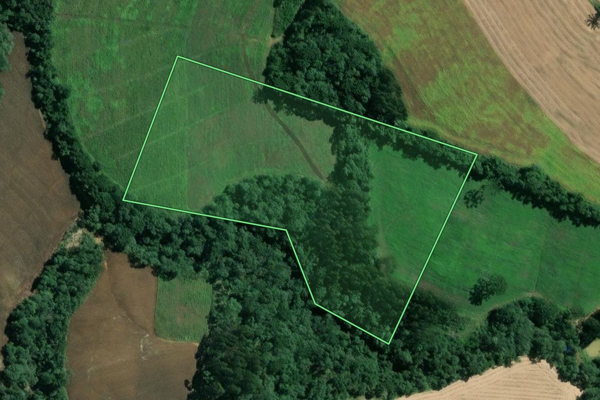 Imagem de satélite do imóvel rural em Mafra (SC), com o contorno declarado no CAR desenhado por cima.