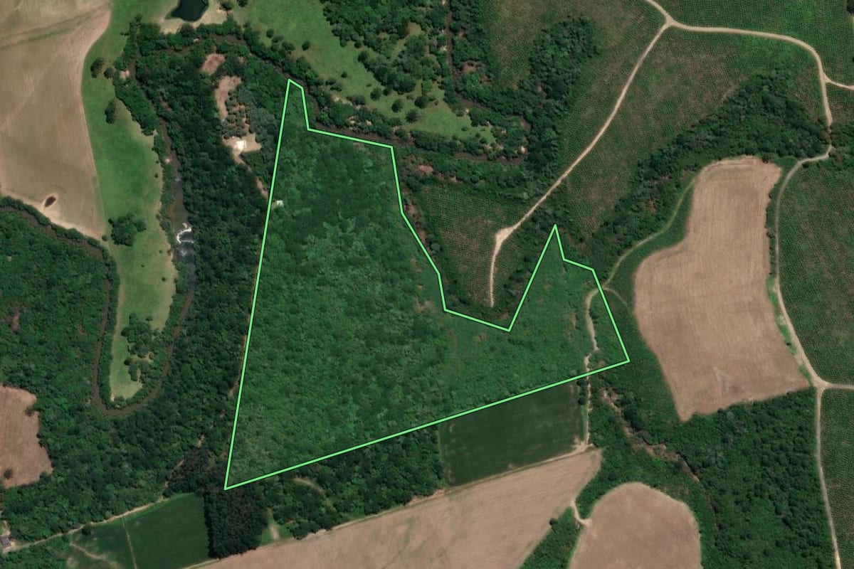 Imagem de satélite do imóvel rural em Mafra (SC), com o contorno declarado no CAR desenhado por cima.