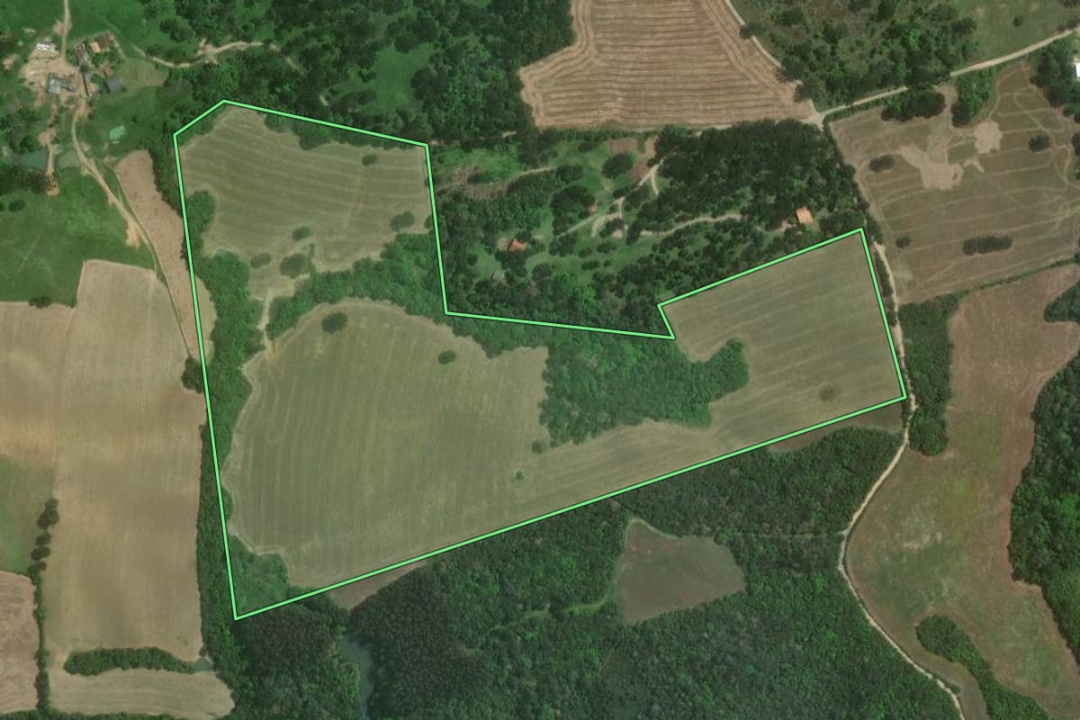 Imagem de satélite do imóvel rural em Mafra (SC), com o contorno declarado no CAR desenhado por cima.