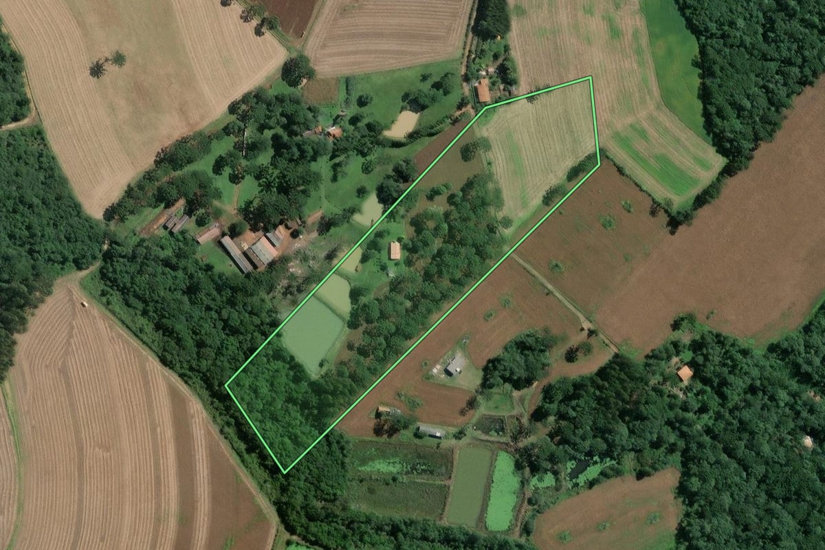 Imagem de satélite do imóvel rural em Mafra (SC), com o contorno declarado no CAR desenhado por cima.
