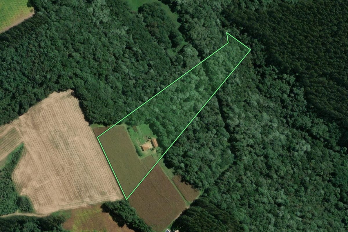 Imagem de satélite do imóvel rural em Mafra (SC), com o contorno declarado no CAR desenhado por cima.