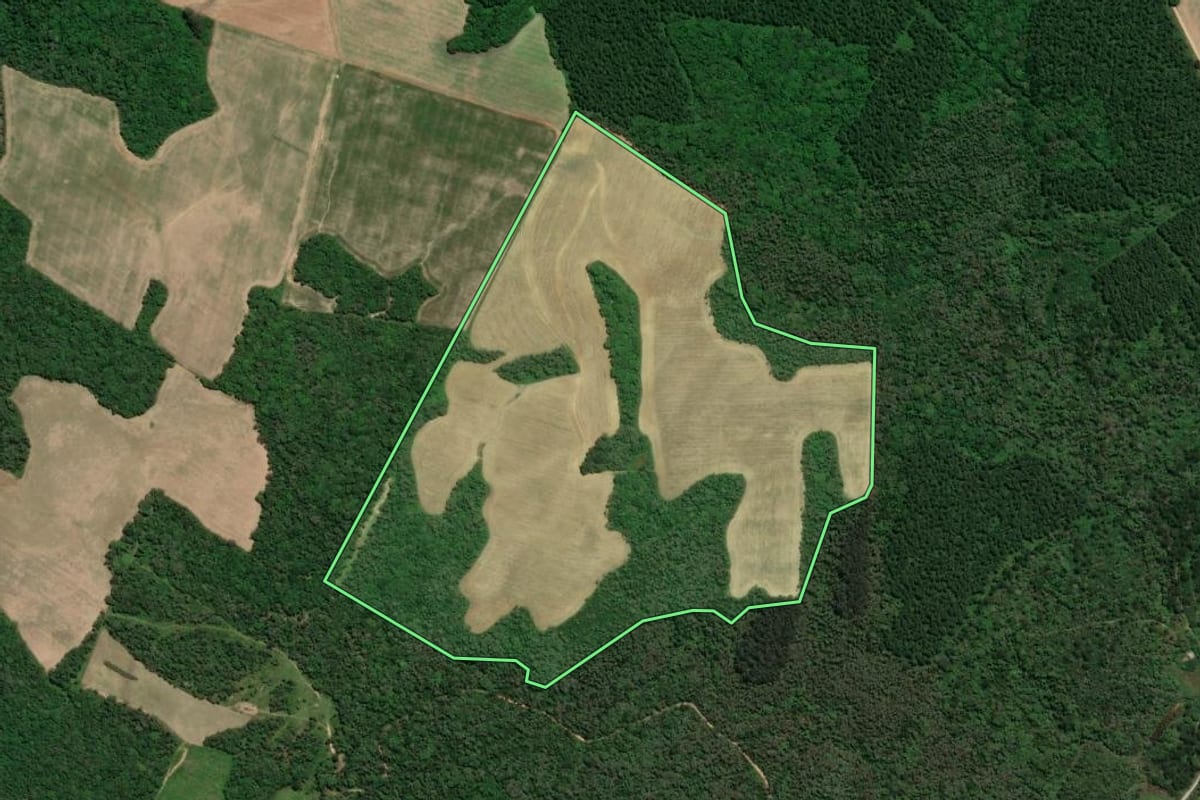 Imagem de satélite do imóvel rural em Mafra (SC), com o contorno declarado no CAR desenhado por cima.