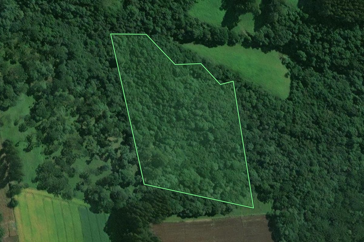Imagem de satélite do imóvel rural em Mafra (SC), com o contorno declarado no CAR desenhado por cima.
