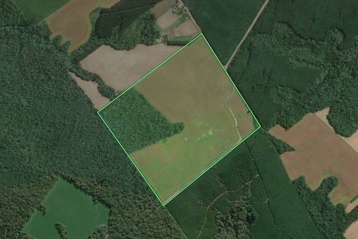 Imagem de satélite do imóvel rural em Mafra (SC), com o contorno declarado no CAR desenhado por cima.