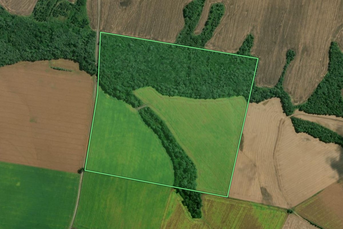 Imagem de satélite do imóvel rural em Mafra (SC), com o contorno declarado no CAR desenhado por cima.