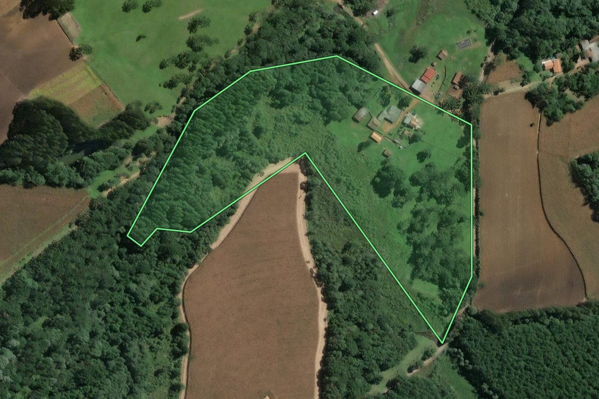 Imagem de satélite do imóvel rural em Mafra (SC), com o contorno declarado no CAR desenhado por cima.
