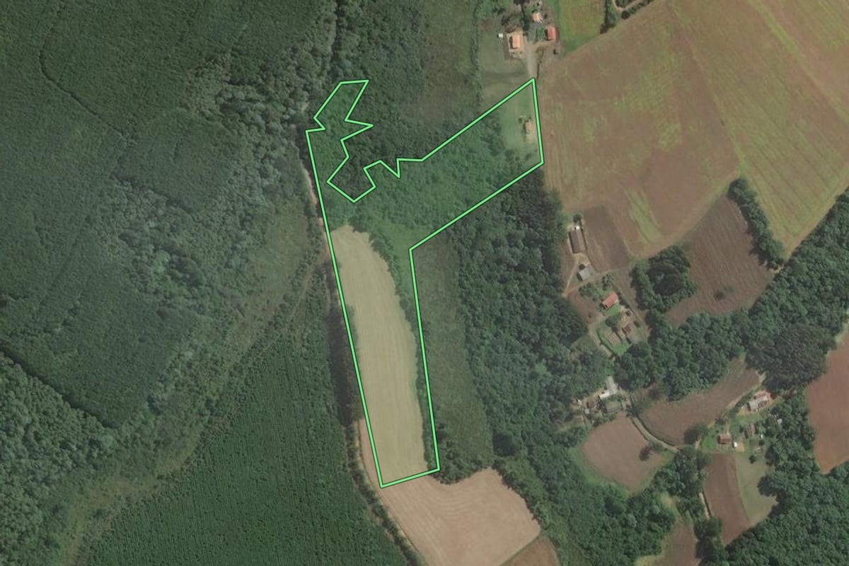 Imagem de satélite do imóvel rural em Mafra (SC), com o contorno declarado no CAR desenhado por cima.