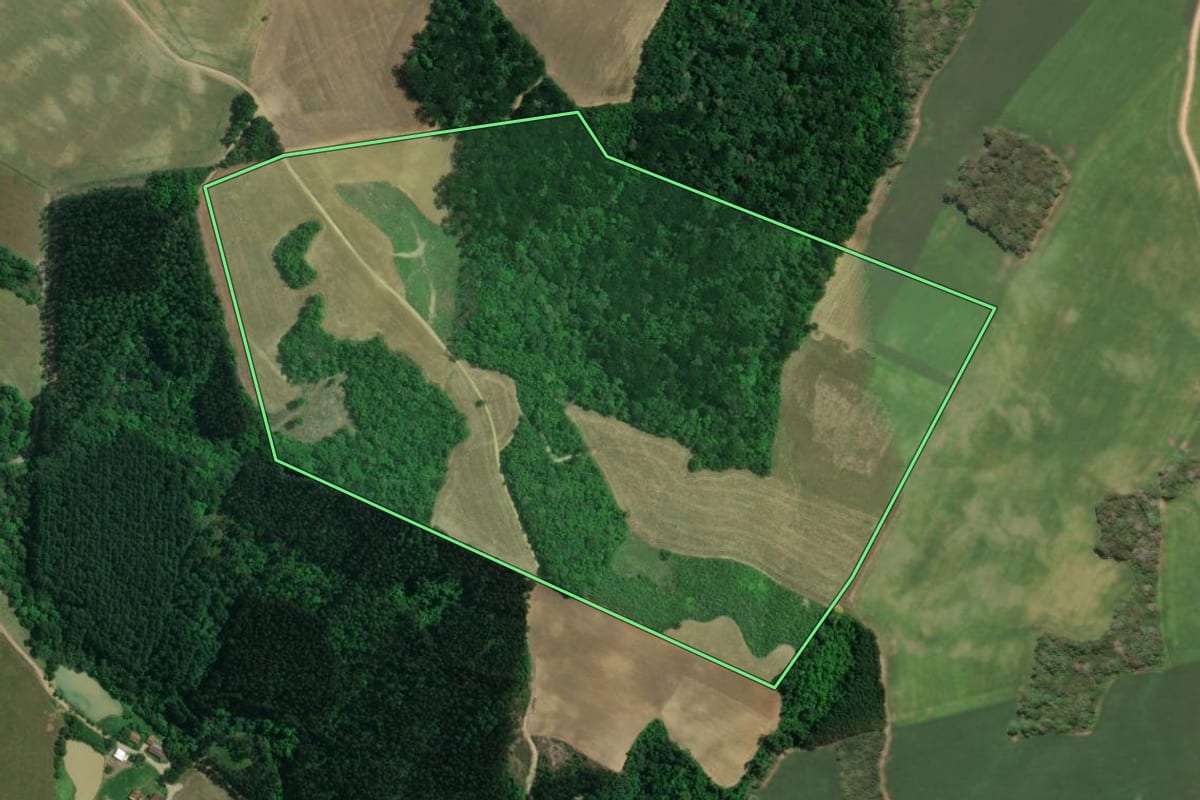 Imagem de satélite do imóvel rural em Mafra (SC), com o contorno declarado no CAR desenhado por cima.