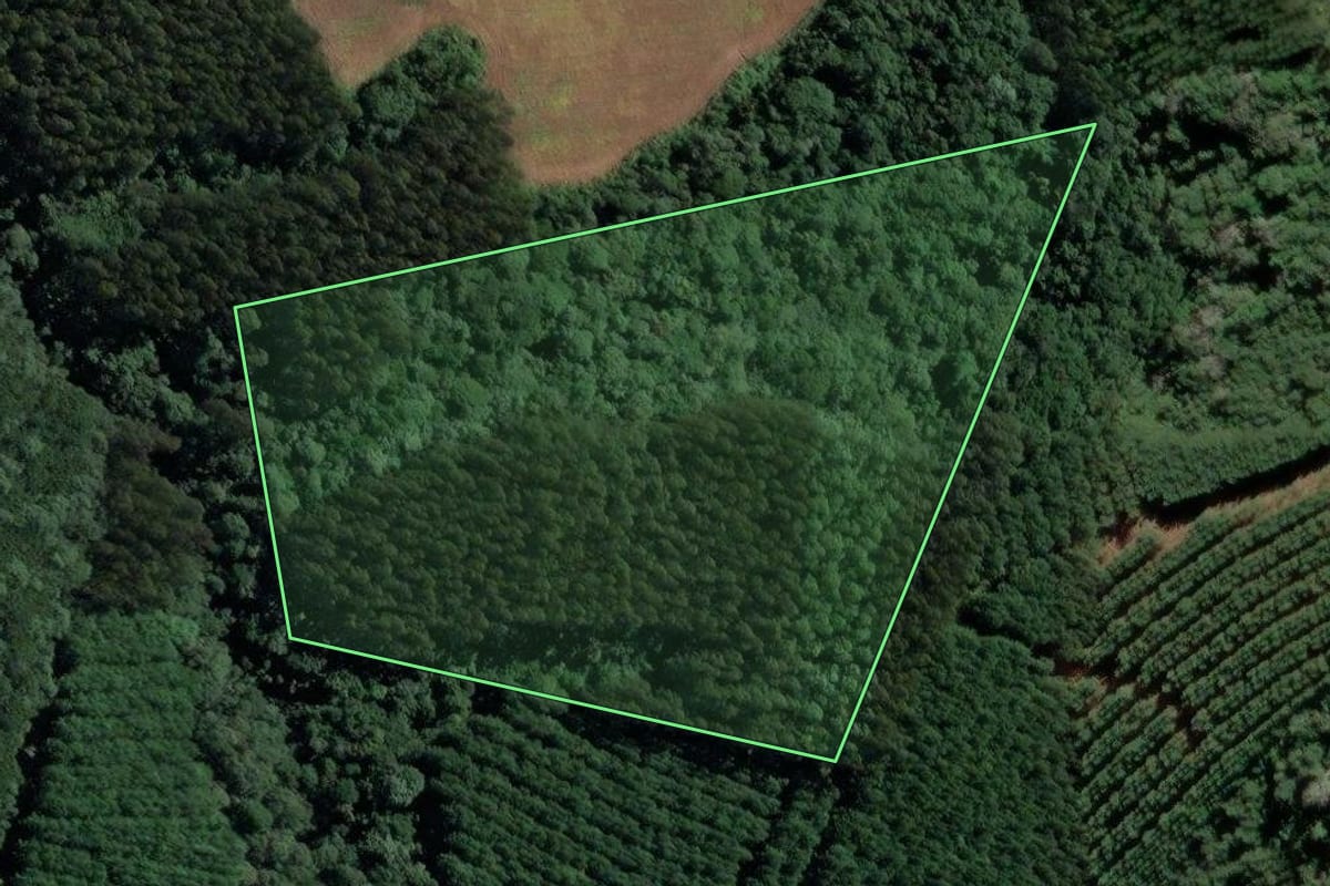Imagem de satélite do imóvel rural em Mafra (SC), com o contorno declarado no CAR desenhado por cima.