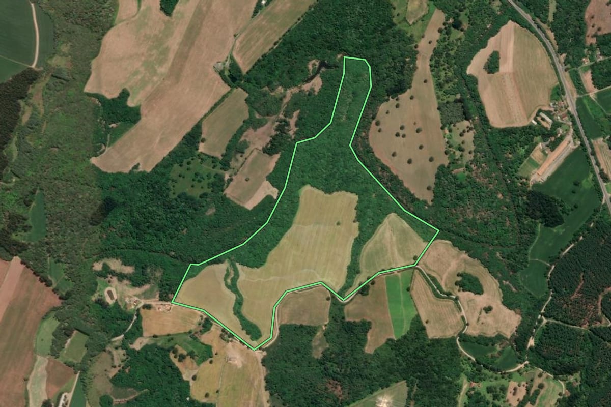 Imagem de satélite do imóvel rural em Mafra (SC), com o contorno declarado no CAR desenhado por cima.