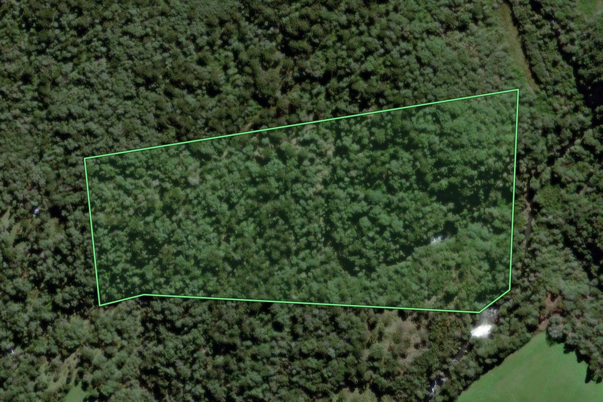 Imagem de satélite do imóvel rural em Mafra (SC), com o contorno declarado no CAR desenhado por cima.