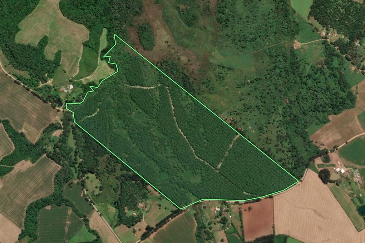 Imagem de satélite do imóvel rural em Mafra (SC), com o contorno declarado no CAR desenhado por cima.