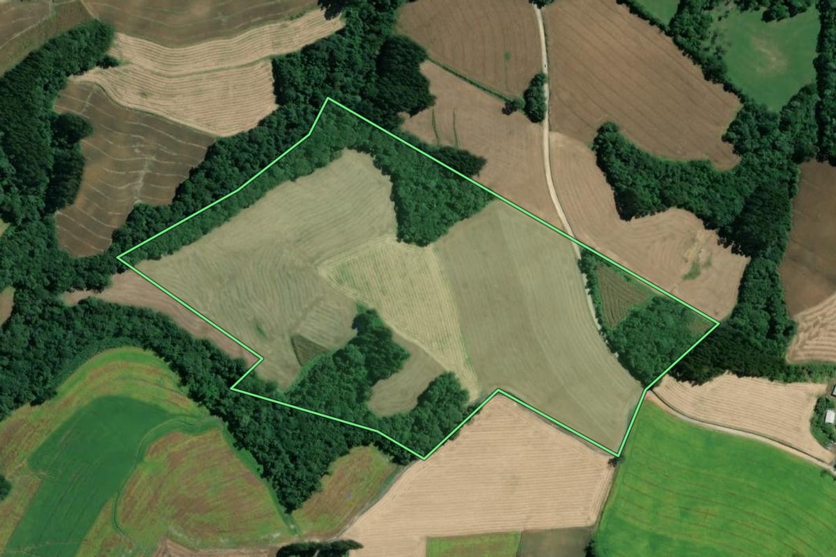 Imagem de satélite do imóvel rural em Mafra (SC), com o contorno declarado no CAR desenhado por cima.