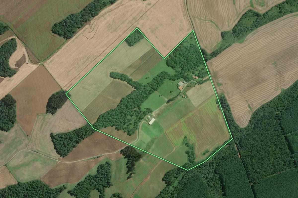 Imagem de satélite do imóvel rural em Mafra (SC), com o contorno declarado no CAR desenhado por cima.