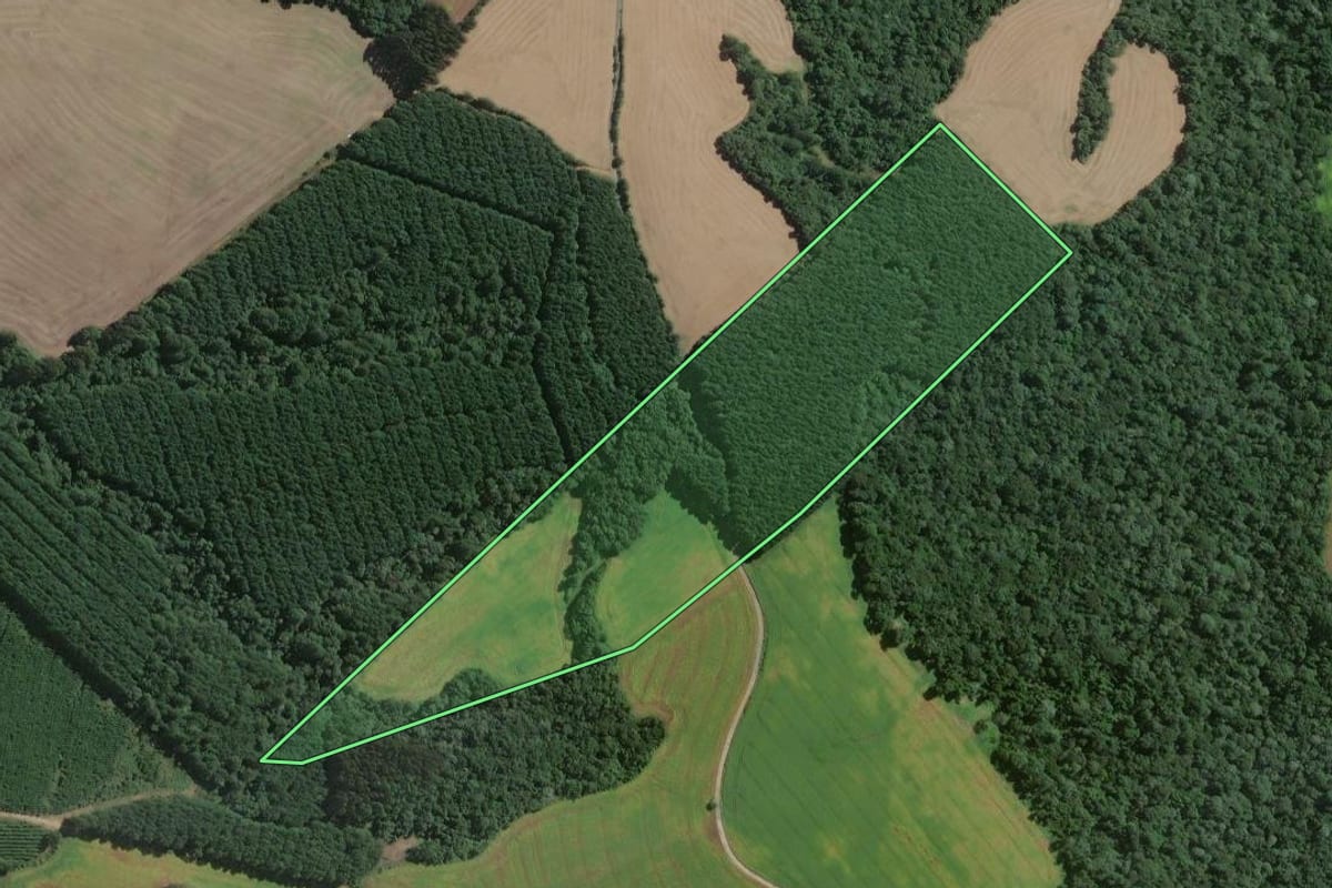 Imagem de satélite do imóvel rural em Mafra (SC), com o contorno declarado no CAR desenhado por cima.