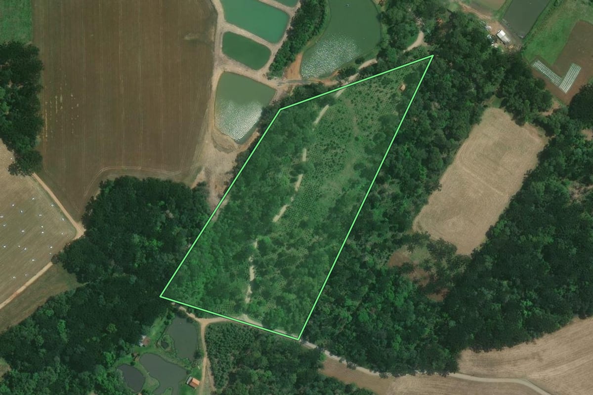 Imagem de satélite do imóvel rural em Mafra (SC), com o contorno declarado no CAR desenhado por cima.