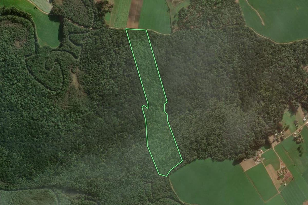 Imagem de satélite do imóvel rural em Mafra (SC), com o contorno declarado no CAR desenhado por cima.
