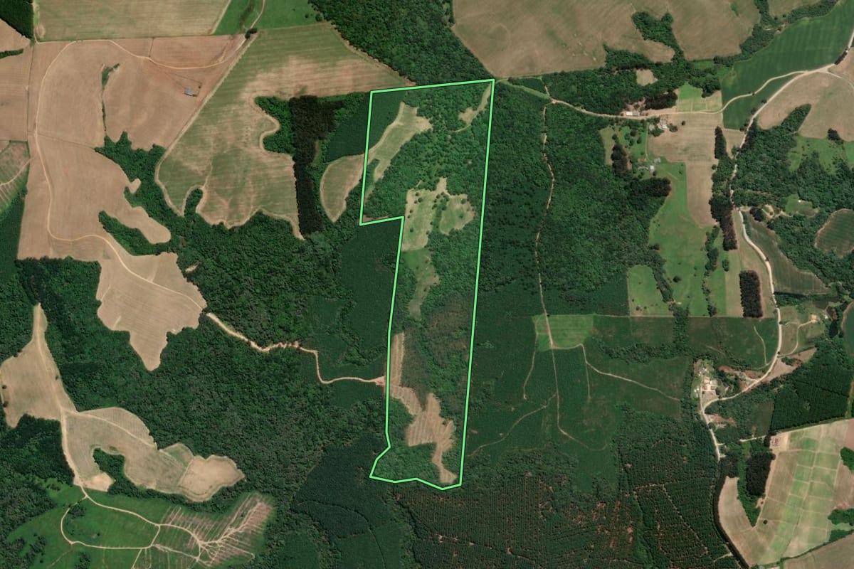 Imagem de satélite do imóvel rural em Mafra (SC), com o contorno declarado no CAR desenhado por cima.