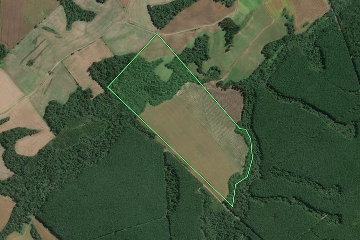 Imagem de satélite do imóvel rural em Mafra (SC), com o contorno declarado no CAR desenhado por cima.