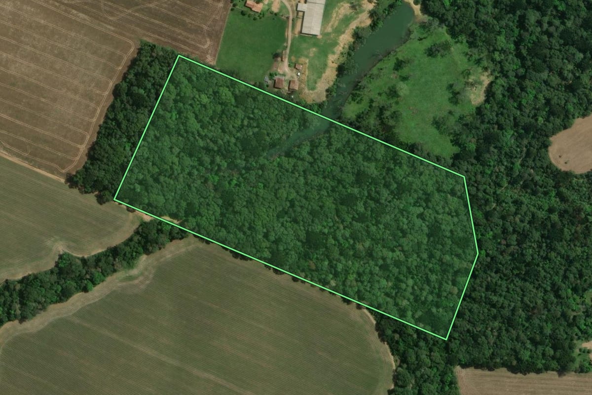 Imagem de satélite do imóvel rural em Mafra (SC), com o contorno declarado no CAR desenhado por cima.