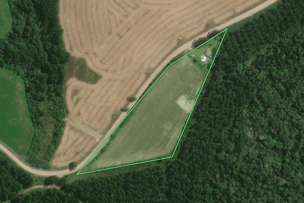 Imagem de satélite do imóvel rural em Mafra (SC), com o contorno declarado no CAR desenhado por cima.