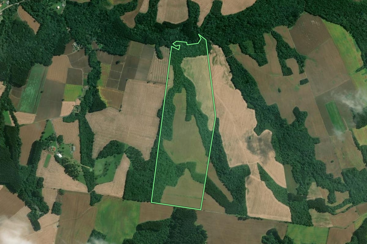 Imagem de satélite do imóvel rural em Mafra (SC), com o contorno declarado no CAR desenhado por cima.