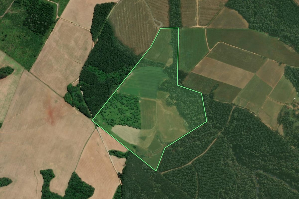 Imagem de satélite do imóvel rural em Mafra (SC), com o contorno declarado no CAR desenhado por cima.