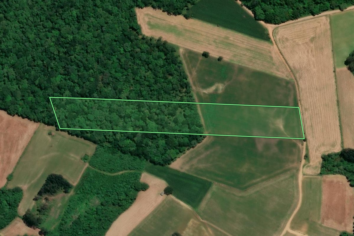 Imagem de satélite do imóvel rural em Mafra (SC), com o contorno declarado no CAR desenhado por cima.