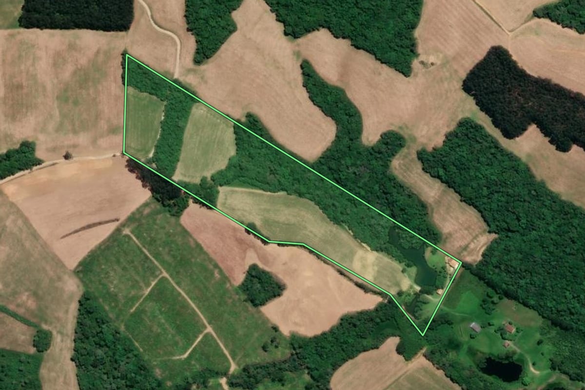 Imagem de satélite do imóvel rural em Mafra (SC), com o contorno declarado no CAR desenhado por cima.