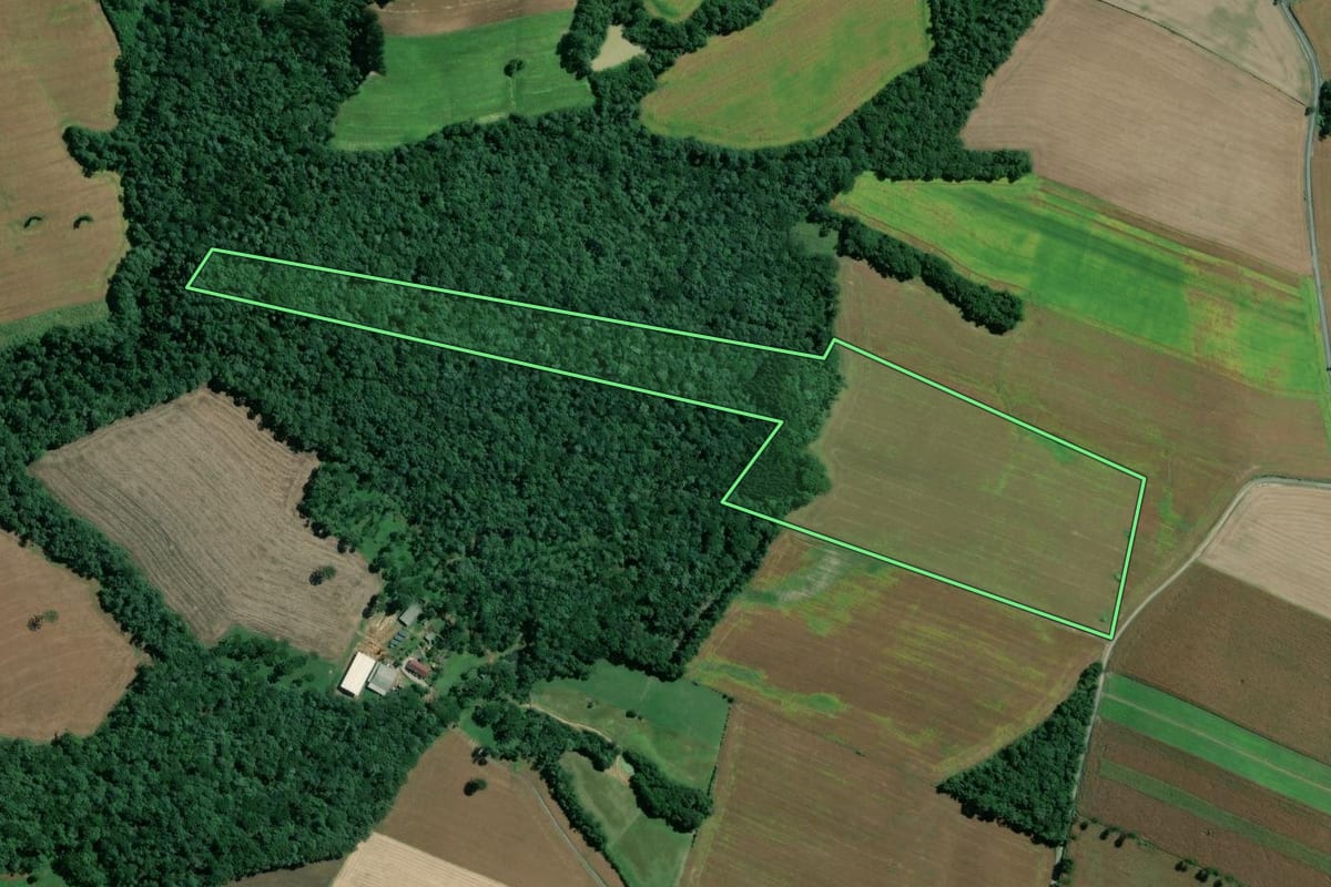 Imagem de satélite do imóvel rural em Mafra (SC), com o contorno declarado no CAR desenhado por cima.