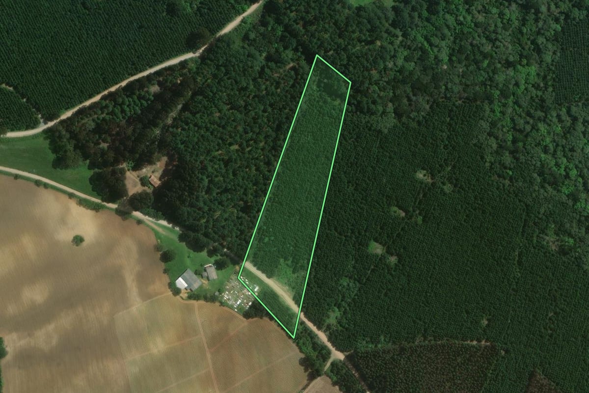 Imagem de satélite do imóvel rural em Mafra (SC), com o contorno declarado no CAR desenhado por cima.