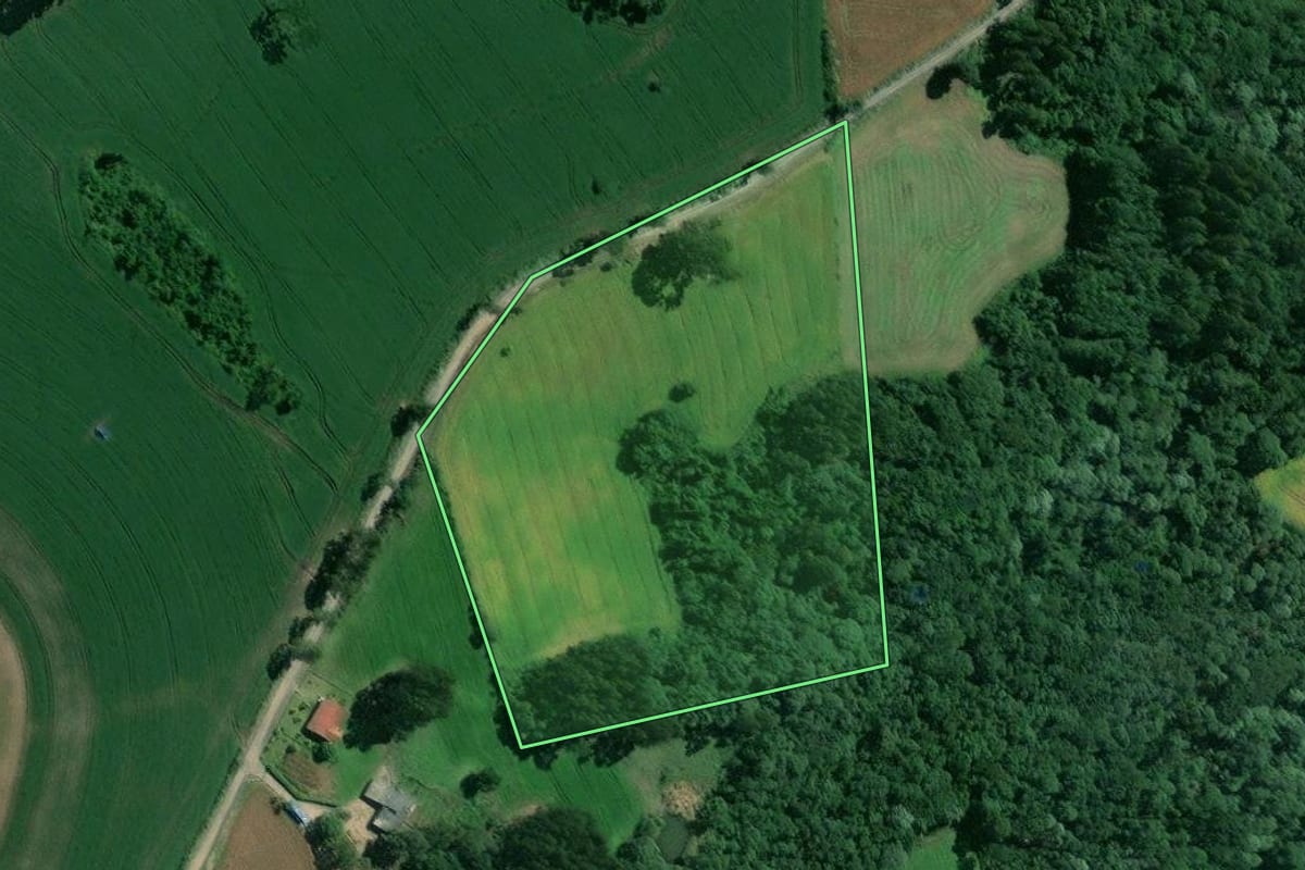 Imagem de satélite do imóvel rural em Mafra (SC), com o contorno declarado no CAR desenhado por cima.
