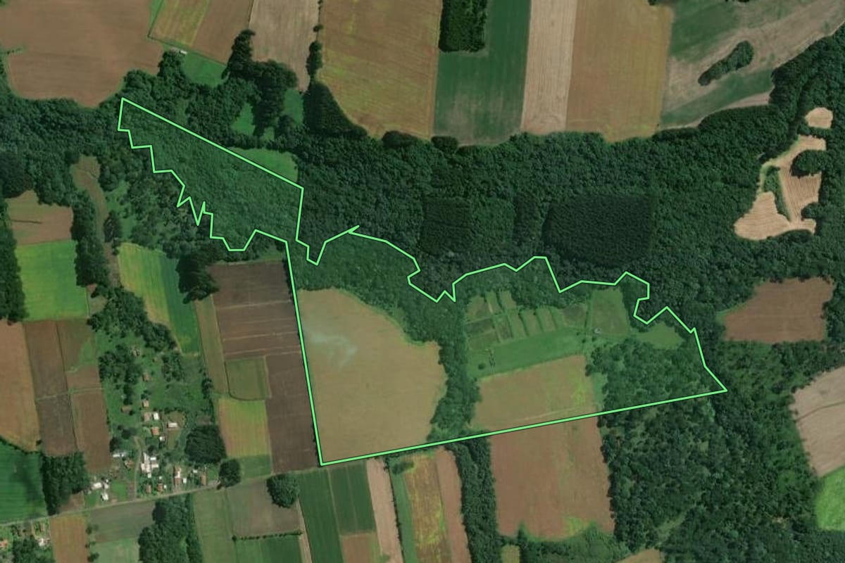 Imagem de satélite do imóvel rural em Mafra (SC), com o contorno declarado no CAR desenhado por cima.