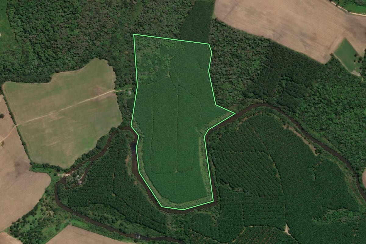 Imagem de satélite do imóvel rural em Mafra (SC), com o contorno declarado no CAR desenhado por cima.